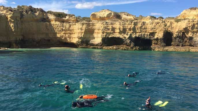 albufeira snorkelling seafari
