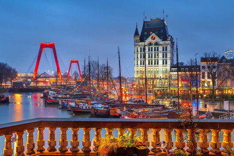 Rotterdam: Expresswandeling met een local in 90 minuten