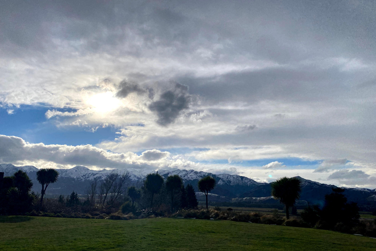 From Christchurch: Luxury Private Hanmer Day Trip Experience
