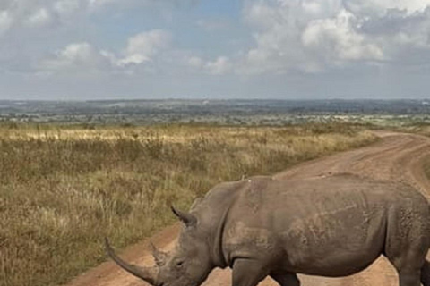 Parco nazionale di Nairobi, orfanotrofio degli elefanti e centro delle giraffeParco Nazionale di Nairobi, DSWT e Centro delle Giraffe senza ingresso