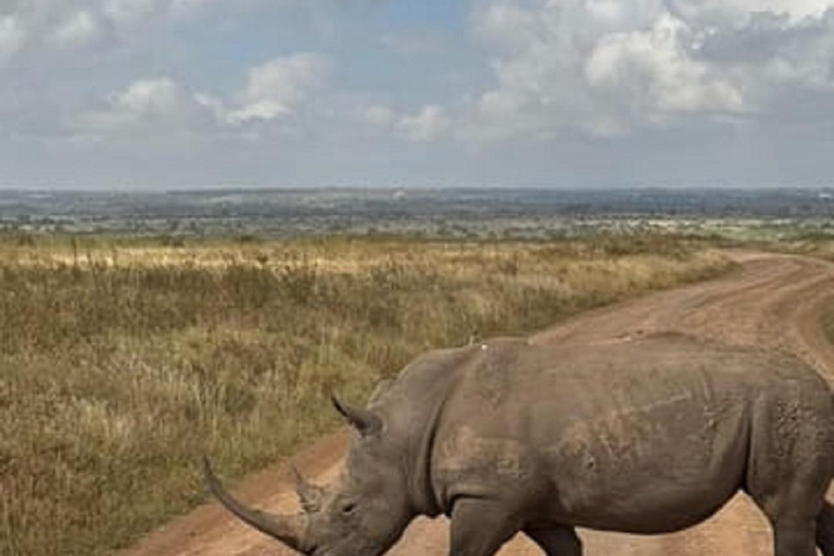 Parco nazionale di Nairobi, orfanotrofio degli elefanti e centro delle giraffeParco Nazionale di Nairobi, DSWT e Centro delle Giraffe senza ingresso