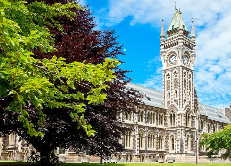 Dunedin City & Coast Views 3-Hour Small-Group Tour | GetYourGuide