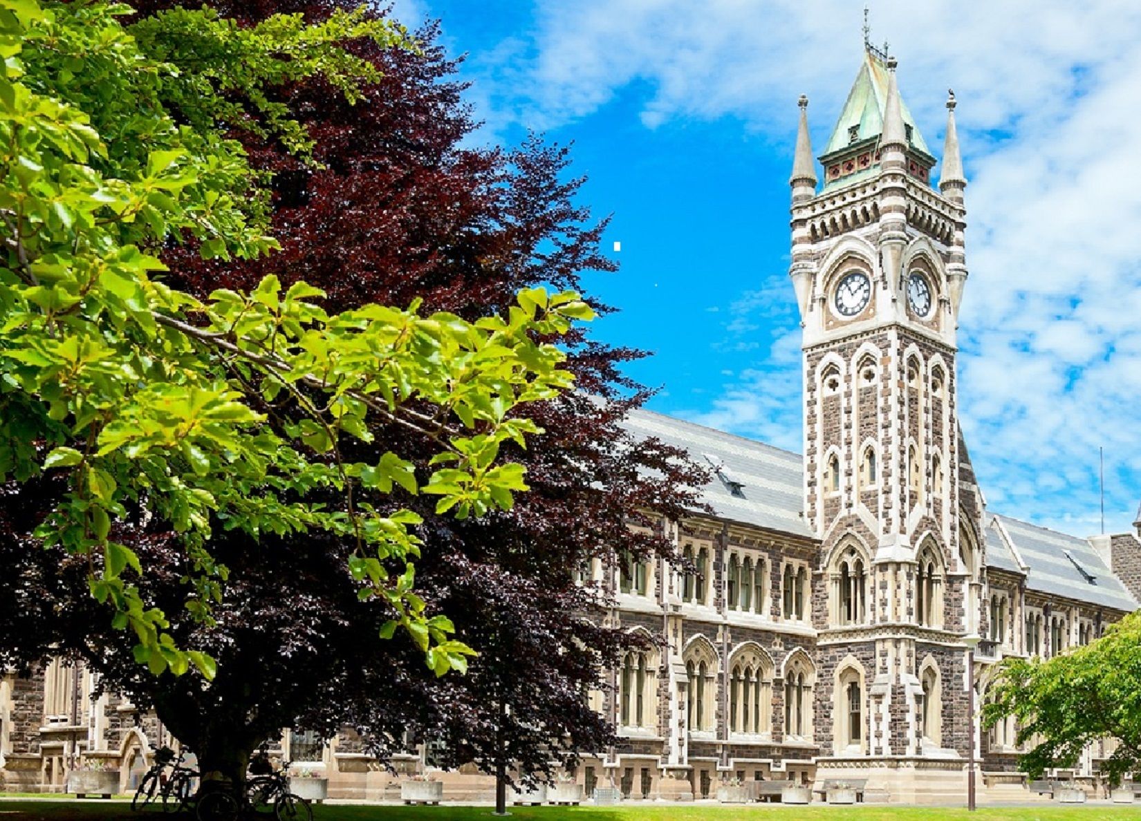 Dunedin Stadt- & Küstenansichten 3-stündige Kleingruppen-Tour