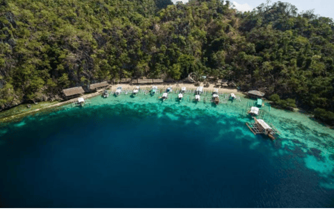 Coron: Ultimate Tour with Barracuda Lake Private Tour