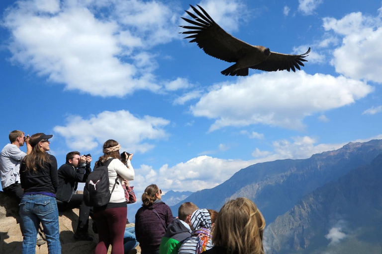 Depuis Arequipa : visite guidée du canyon de Colca avec repasOption 1 : Excursion au canyon de Colca avec petit-déjeuner