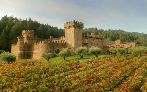 Napa Weintour in kleiner Gruppe mit Castello Di Amorosa & Mittagessen