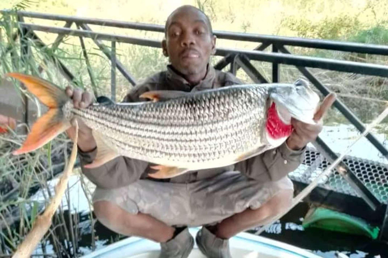 Cataratas Victoria: safari de pesca del tigre en el río Chobe con almuerzoCataratas Victoria: safari de pesca del tigre en el río Chobe con almuerzo incluido
