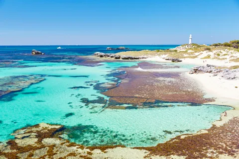Paquete Rottnest Grand Island con ferry, excursión y almuerzo ligero