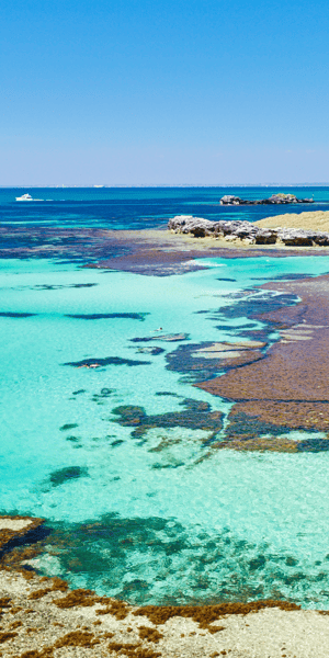 Rottnest Grand Island Package With Ferry Tour Light Lunch Getyourguide