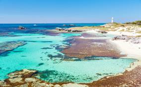 Rottnest Grand Island Package with Ferry, Tour & Light Lunch