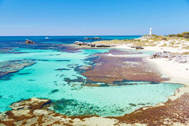 Rottnest Grand Island Package with Ferry, Tour & Light Lunch Ferry From Perth with 11:30 AM Tour