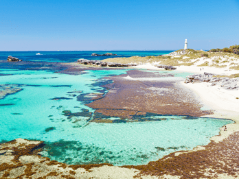 Pakiet Rottnest Grand Island z promem, wycieczką i lekkim lunchem