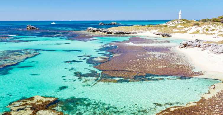 Rottnest Grand Island Package with Ferry Tour & Light Lunch