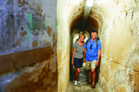 Rottnest Grand Island Package with Ferry, Tour & Light Lunch - Housity