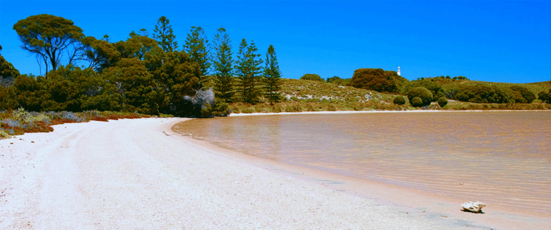 Rottnest Grand Island Package With Ferry Tour Light Lunch Getyourguide