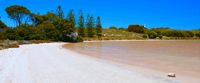 Rottnest Grand Island Package with Ferry, Tour & Light Lunch - Housity