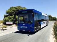 Rottnest Grand Island Package with Ferry, Tour & Light Lunch - Housity