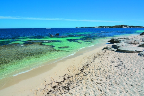 Rottnest Island: Paket mit Fähre, Tour und MittagessenFähre von Perth mit 11:30 Uhr Tour