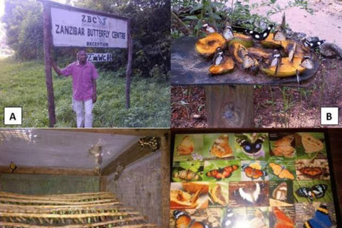 Zanzibar: Jozani Forest, Tortoise Park, & Butterfly Tour Private tour without hotel pick up and drop off