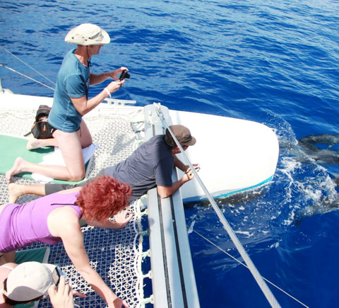 Passeios de barco