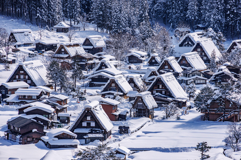 Nagoja: Shirakawa-go, Gujo, Hida Takayama - jednodniowa wycieczka historycznaWycieczka Nagoya Shirakawa-go Hida Takayama Gujo Hachiman