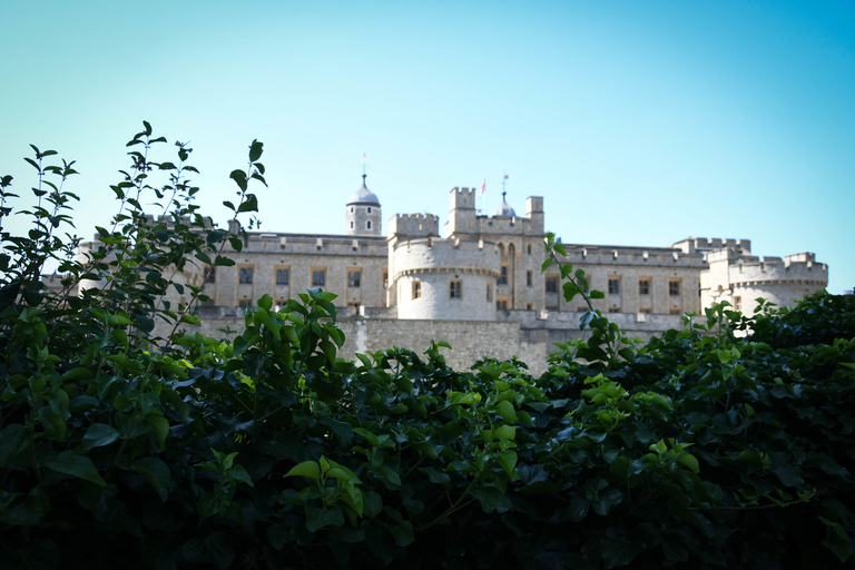 Londen: Top 30 bezienswaardigheden wandeltocht en toegang tot de Tower of London