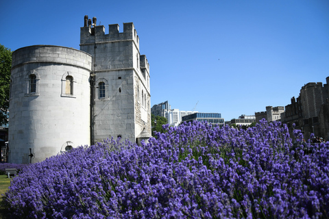 Londres: visita guiada a pie por los 30 mejores lugares y entrada a la Torre de Londres