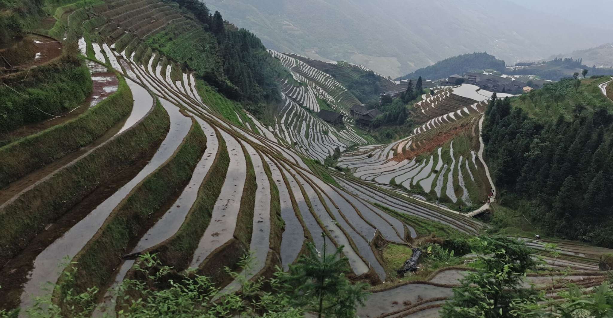 Longji Rice Terraces, Full-Day Private Tour from Guilin - Housity