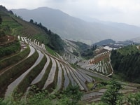 Longji Rice Terraces, Full-Day Private Tour from Guilin - Housity