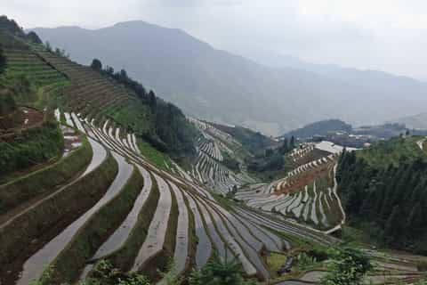 Longji Rice Terraces: Full-Day Private Tour from Guilin