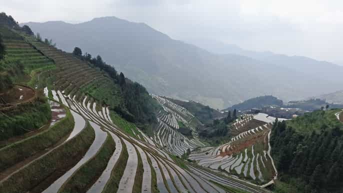 longji rice terraces fullday private tour from guilin