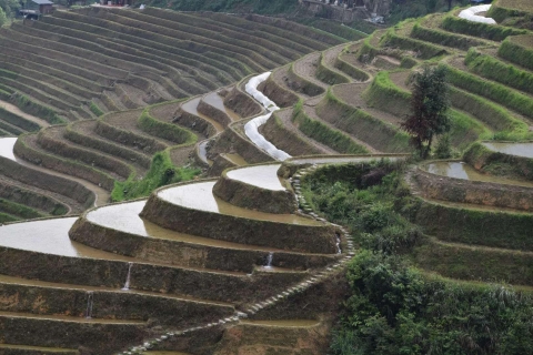 Rizières en terrasses de Longji: visite privée d'une journée de GuilinNavette aller-retour au village de Ping'an