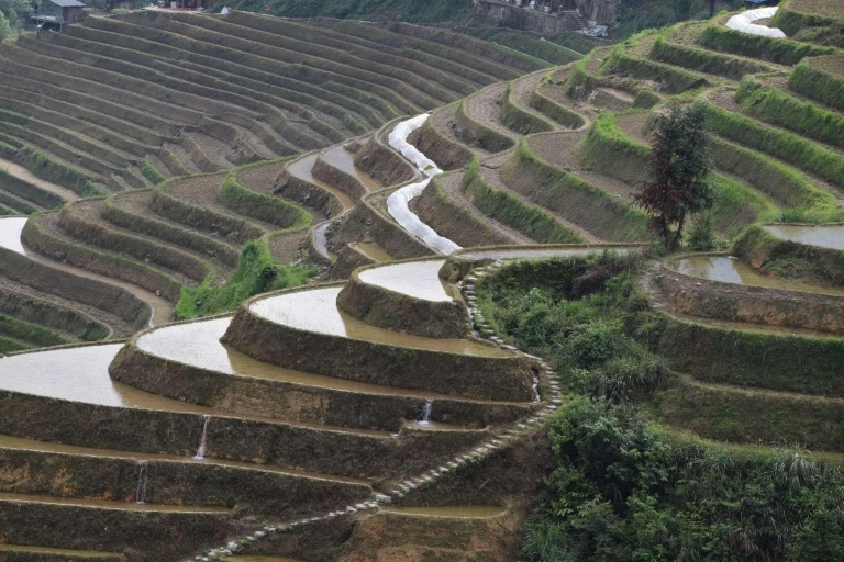 Longji-rijstterrassen: een volledige privétour vanuit GuilinWandeling van Ping'an naar Dazhai