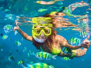 Maui: Schnorcheltour zu Korallengärten oder Molokini-Krater Maui: Schnorcheltour zu Korallengärten oder Molokini-Krater