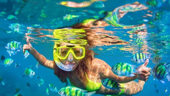 maui afternoon snorkel to coral gardens or molokini crater
