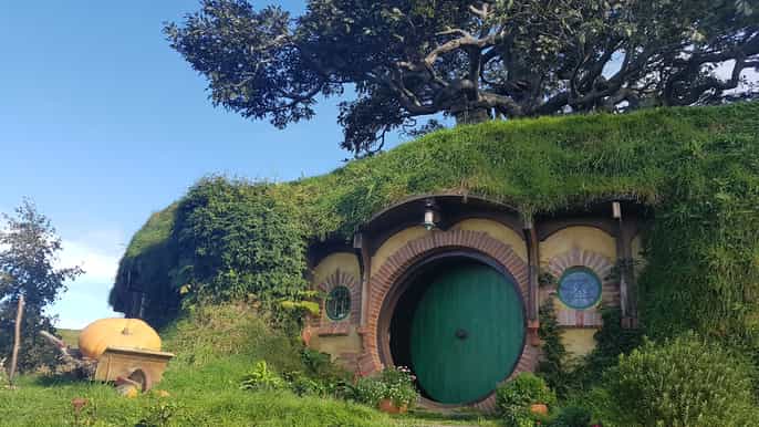 desde auckland hobbiton y rotorua tour con almuerzo en te puia