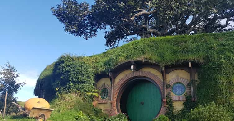 Descente des collines en Zorb (bulle gonflable géante) - A Rotorua