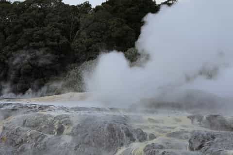 From Auckland: Hobbiton & Rotorua Tour with Lunch at Te Puia