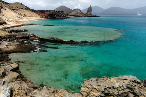 Bartolome Island Top Experience: Hike and Snorkel full day tour