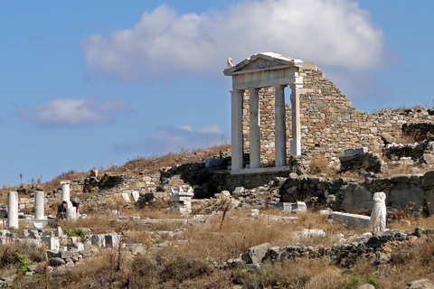 Delos Synagogue: Jewish Heritage Private Tour from Mykonos