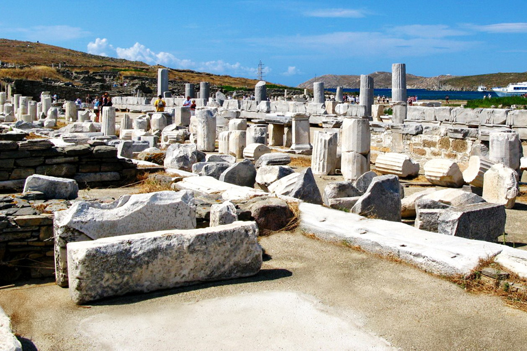 Delos Synagogue: Jewish Heritage Private Tour from Mykonos