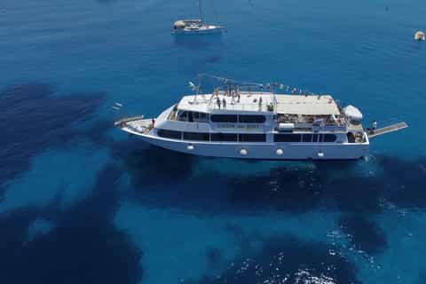 Cruises & boat tours