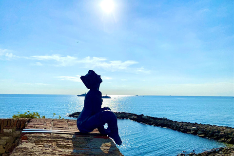 Tour panoramico della Costa Azzurra di un giorno intero