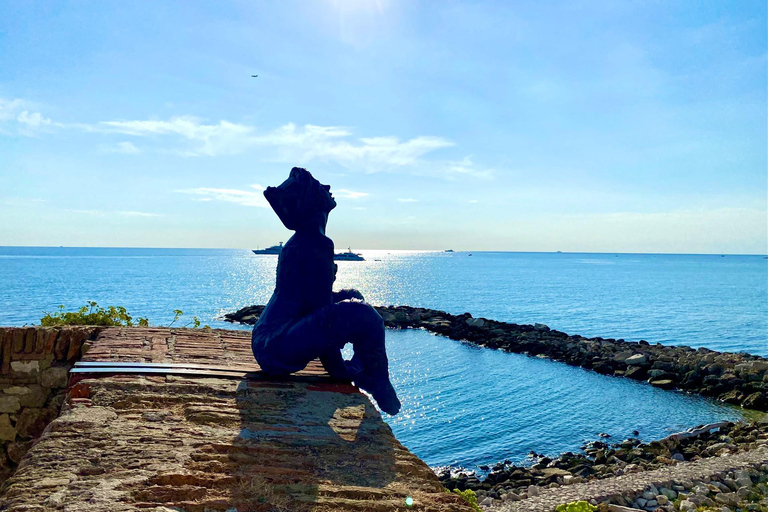 Visite d&#039;une jounée du panorama de la Côte d&#039;Azur