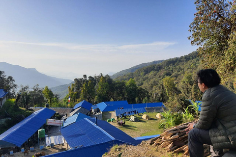 Pokhara : 5 jours de trek au camp de base du Mardi Himal avec transferts