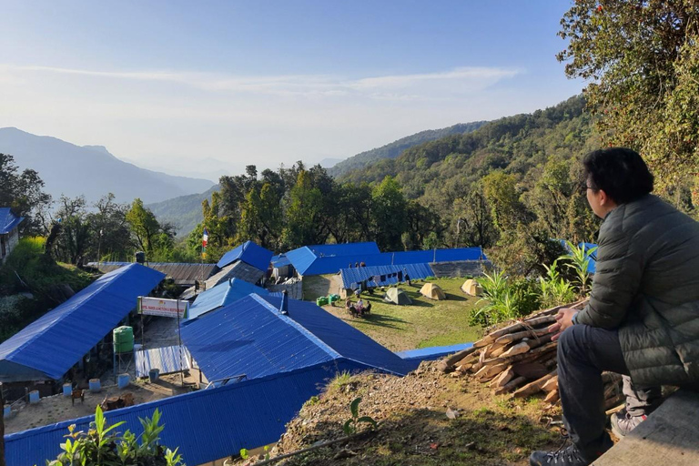 Pokhara : 5 jours de trek au camp de base du Mardi Himal avec transferts