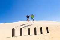 Port Stephens, unbegrenzte Sandboarding & 4WD Sand Dune Tour - Housity