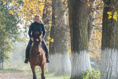 San Gimignano: Horseback Riding, Wine Tasting & Lunch