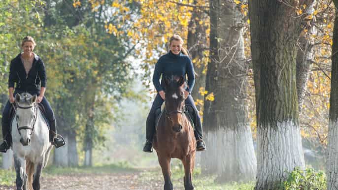 san gimignano horseback riding wine tasting lunch