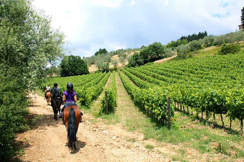 horseback riding wine tour tuscany